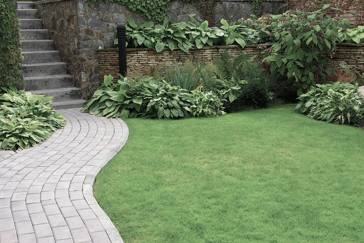 Welcome to RS Landscaping